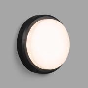 LED buitenwandlamp Tom XL, IK10, donkergrijs/wit