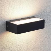 LED buitenwandlamp Nienke, IP65, 17 cm