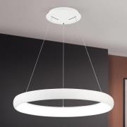 LED hanglamp Venus in ringvorm