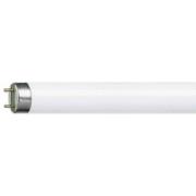 Philips G13 T8 tl-lamp MASTER TL-D Super van 36W, 1 m