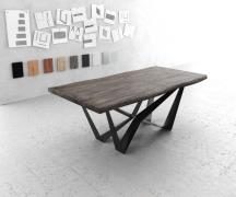 DELIFE Eettafel Edge 200x100 XL acacia platina Spider vlakstaal zwart ...