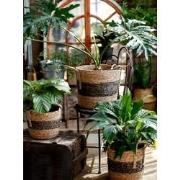 Fine Asianliving Oosterse Mand Handgemaakt Naturel Waterplanten Set/3