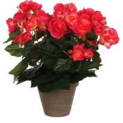 Mica Decorations Begonia Kunstplant in Bloempot Stan - H30 x Ø25 cm - ...