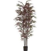 Light & Living - Kunstplant BAMBOO - 70x60x180cm - Groen