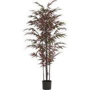 Light & Living - Kunstplant BAMBOO - 70x60x150cm - Groen