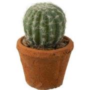 J-line - Cactus Rond In Pot Plastiek Groen - 10.5x10.5x14.5cm