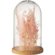 J-line - Stolp Droogbloemen Licht Roze Glas Hout Large - 22x22x37cm