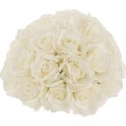 J-line - Bloembol Half Rozen Plastiek Wit Small - 29.5x29.5x20.5cm