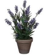 Mica Decorations Lavendel Kunstplant in Bloempot Stan - H33 x Ø20 cm -...