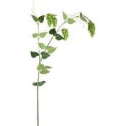 PTMD Kunsttak Hops Spray - 50x92x146 cm - Plastic - Groen