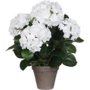 Mica Decorations Hortensia Kunstplant in Bloempot Stan - H45 x Ø45 cm ...