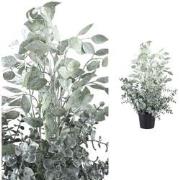 PTMD Eucalyptus Kunstplant - H60 x Ø30 cm - Plastic pot - Grijs/groen