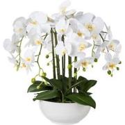 Kopu® Kunstbloem Orchidee 54 cm Wit met Schaal - Phalenopsis