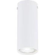 Minimalistische plafondlamp Ferri Wit