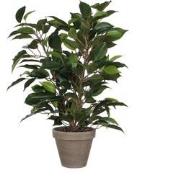 Mica Decorations Ficus Natasja Kunstplant in Bloempot Stan - H40 x Ø30...