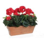 Mica Decorations geranium rood in balkonbak terra maat in cm: 39x13x40