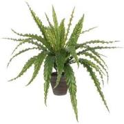 Mica Decorations Asplenium Kunstplant - H54xØ66 cm - Terra pot - Groen