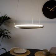 Ring Hanglamp Elaine Metaal Goud Circel 1 Ring