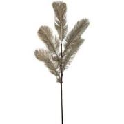 Light&living Ornament 5 veren 55x125 cm FEATHER licht goud