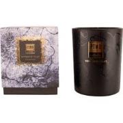 PTMD Elements fragrance candle expressive violet 450gr