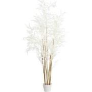 Light&living Ornament in pot 70x60x150 cm BAMBOO naturel+crème