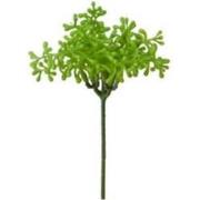 Feuillage bourgeonnant - Vert / 19 cm