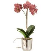 J-line - Orchidee In Pot Plastiek/cement Donker Roze/zilver - 23x23x50...