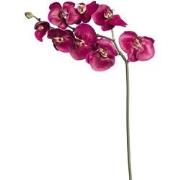 Fuchsia kunstmatige phalaenopsis orchideestam H87