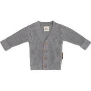 Baby's Only Vestje Soul - Grijs - 68 - 100% ecologisch katoen