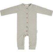 Baby's Only Boxpakje Stripe - Urban Green - 80 - 95% ecologisch katoen...