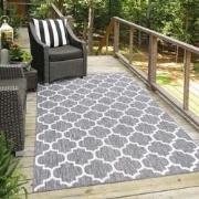 Tapijtenloods Sun In- & Outdoor Vloerkleed Laagpolig Grijs- 160x230 CM