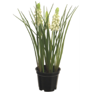 Muscari x3 with black pot cream 23 cm kunstbloem