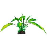 Sf art plant 25 cm cryptocoryne