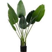 WOOOD Strelitzia Kunstplant - Groen - 61x108x50