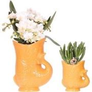 Kolibri Orchids | Set van witte orchidee Nazaré en succulent in Fish s...