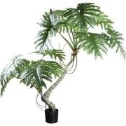 PTMD Tree Green Spring Rain Tree In Black Pot