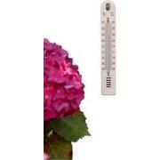 Muurthermometer kunststof beige 17x2,5x0,5cm