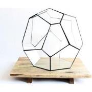 URBANJNGL - Geometrisch Terrarium - Cosmo - Vivarium - ? 31 x 29 x 29 ...