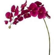 Fuchsia phalaenopsis orchidee kunststam H100