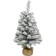 Imperial mini kunstkerstboom d35h60 cm groen/wit kerst