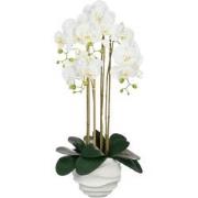 Mica Decorations Kunstplant Phalaenopsis - 40x34x82 cm - Polyester - W...