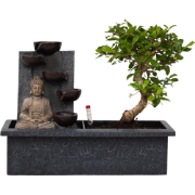 Bonsaiboompje met Easy-care watersysteem - Buddha - Hoogte 25-35cm