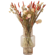 Boeket 'Blooms Magic of Nature' - Droogbloemen - Hoogte 55 cm