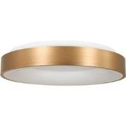 Design Plafonnieres Ringlede Goud