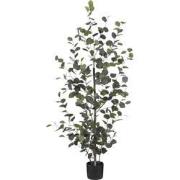 Mica Decorations Eucalyptus Kunstplant in Bloempot - H150 x Ø30 cm - G...