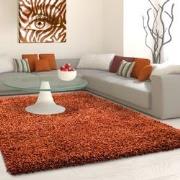 Tapijtenloods Basic Shaggy vloerkleed Terra / Oranje Hoogpolig- 240x34...