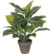 Mica Decorations Evergreen Kunstplant in Bloempot Stan - H49 x Ø40 cm ...