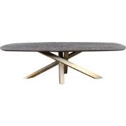 PTMD Alore Brown Gold Diningtable Oval 200 Cm