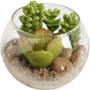 Succulent sedum in kunstmatig rond terrarium groen H8