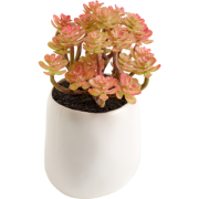 Kunstpot vetplant in oranje en groene klei H12